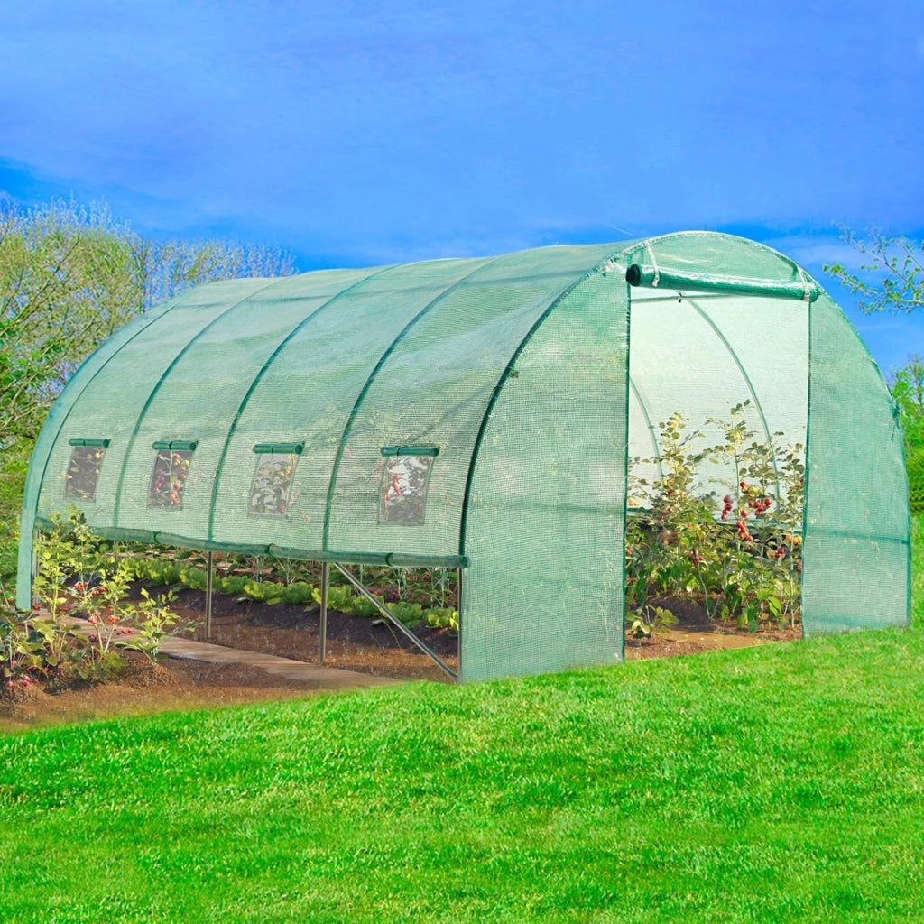 Serra tunnel di giardinario 12m² verde 4 stagioni ZEBRA 4x3M