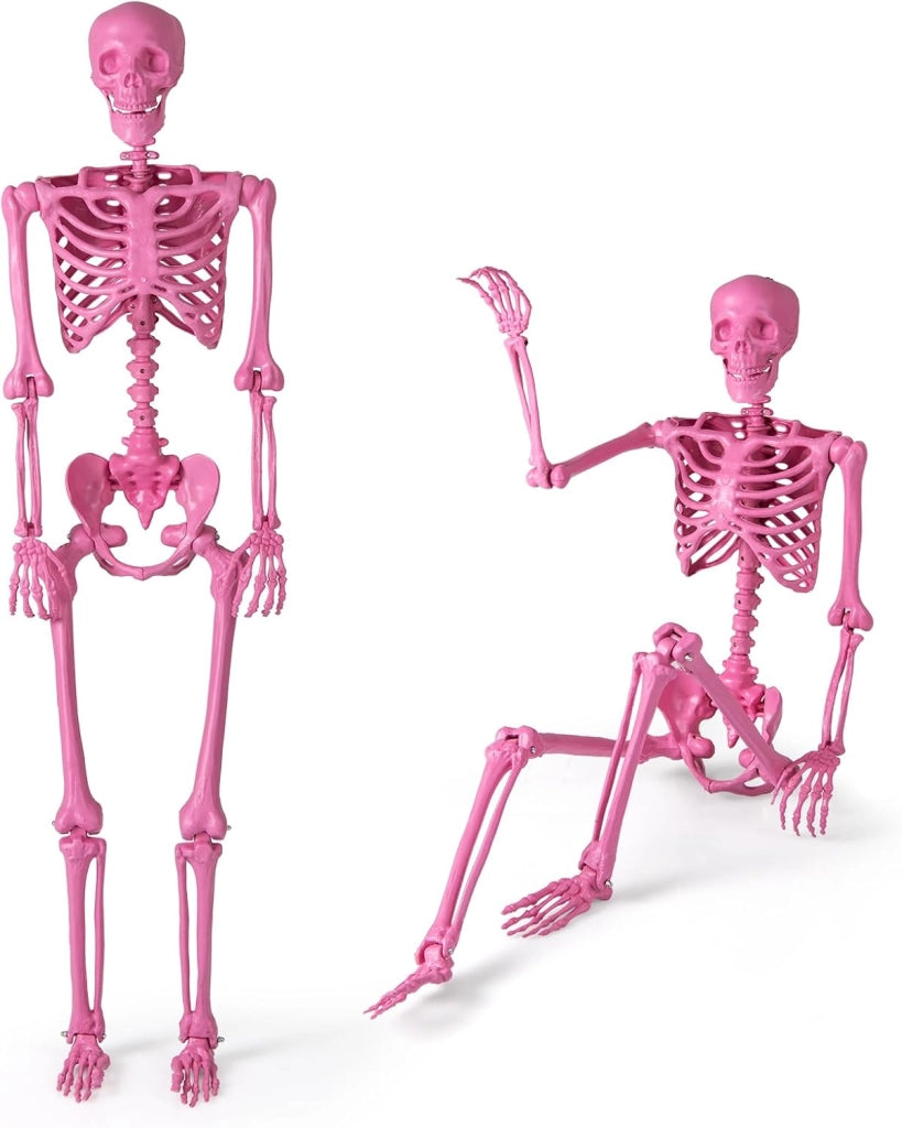 COSTWAY Scheletro di Halloween 160 cm, Scheletro Umano a Grandezza Naturale con Giuntura Mobile, Halloween Decorazione da Interno ed Esterno, per Giardino, Feste di Cimitero e Casa Infestata