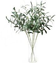 5 x Steli di Olivo per Vasi, Piantine d'Arte, Steli Verdi per Vasi, Foglie di Olivo, Pianta (Verde)