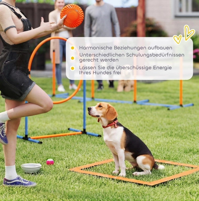 Set da agility per cani con tunnel, ostacoli e slalom