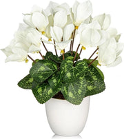 Fiori di Cyclamen Artificiali - Pianta Finta - Vaschetta Bianca - Fiori di Cyclamen Finti Bianchi - Decorazione per la Casa - Decorazione per la Sala di Ufficio