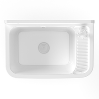 Lavatoio 50x35x24 cm Pilozzo a Parete con Dispenser in Resina Bianco