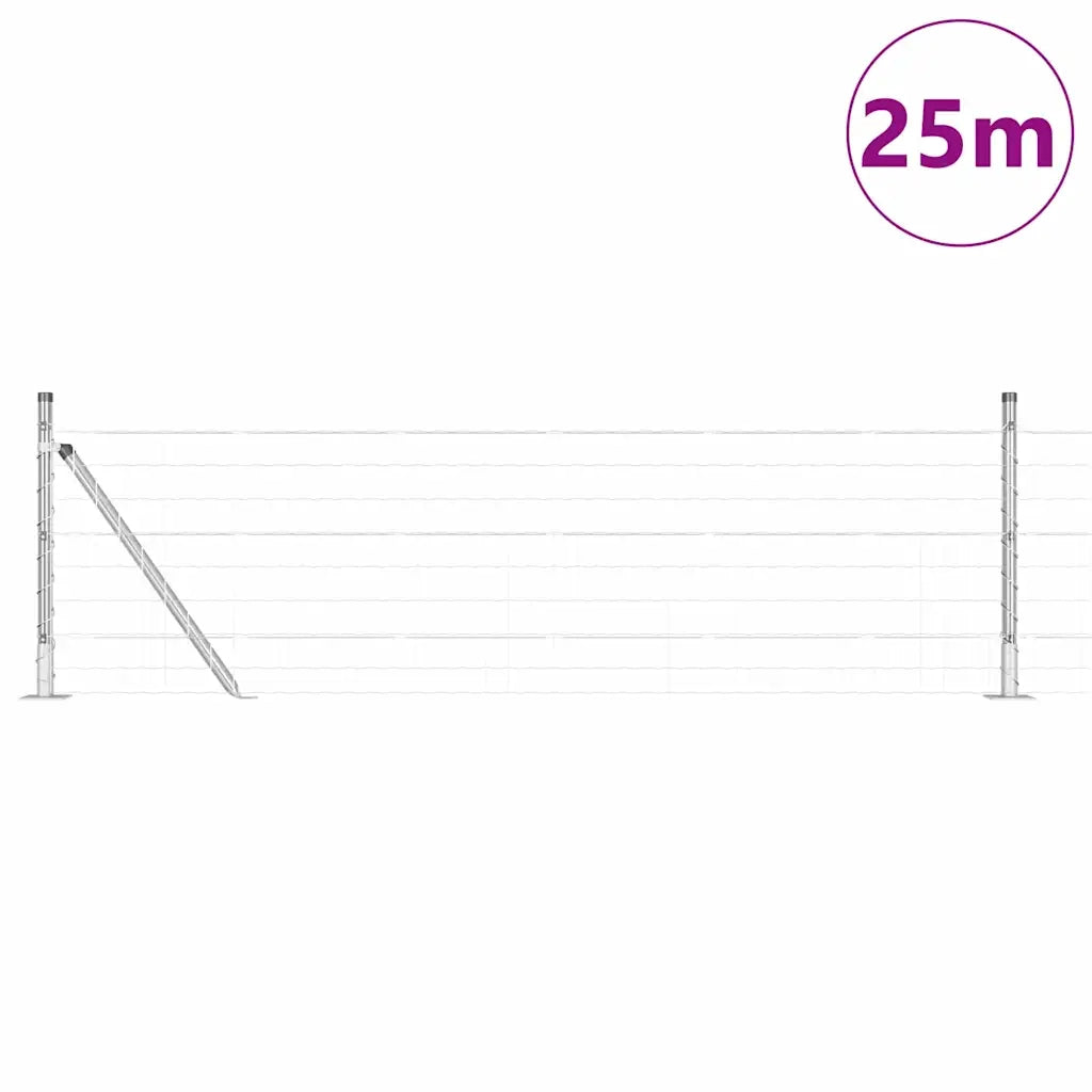 Recinzione da Giardino | Recinzione con Posto Argento 0,4 x 25 m Acciaio