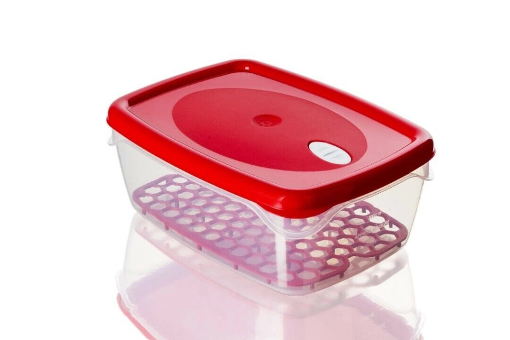 Contenitore Per Alimenti Plastica Griglia Coperchio Freska Grill 5 Litri - Bama