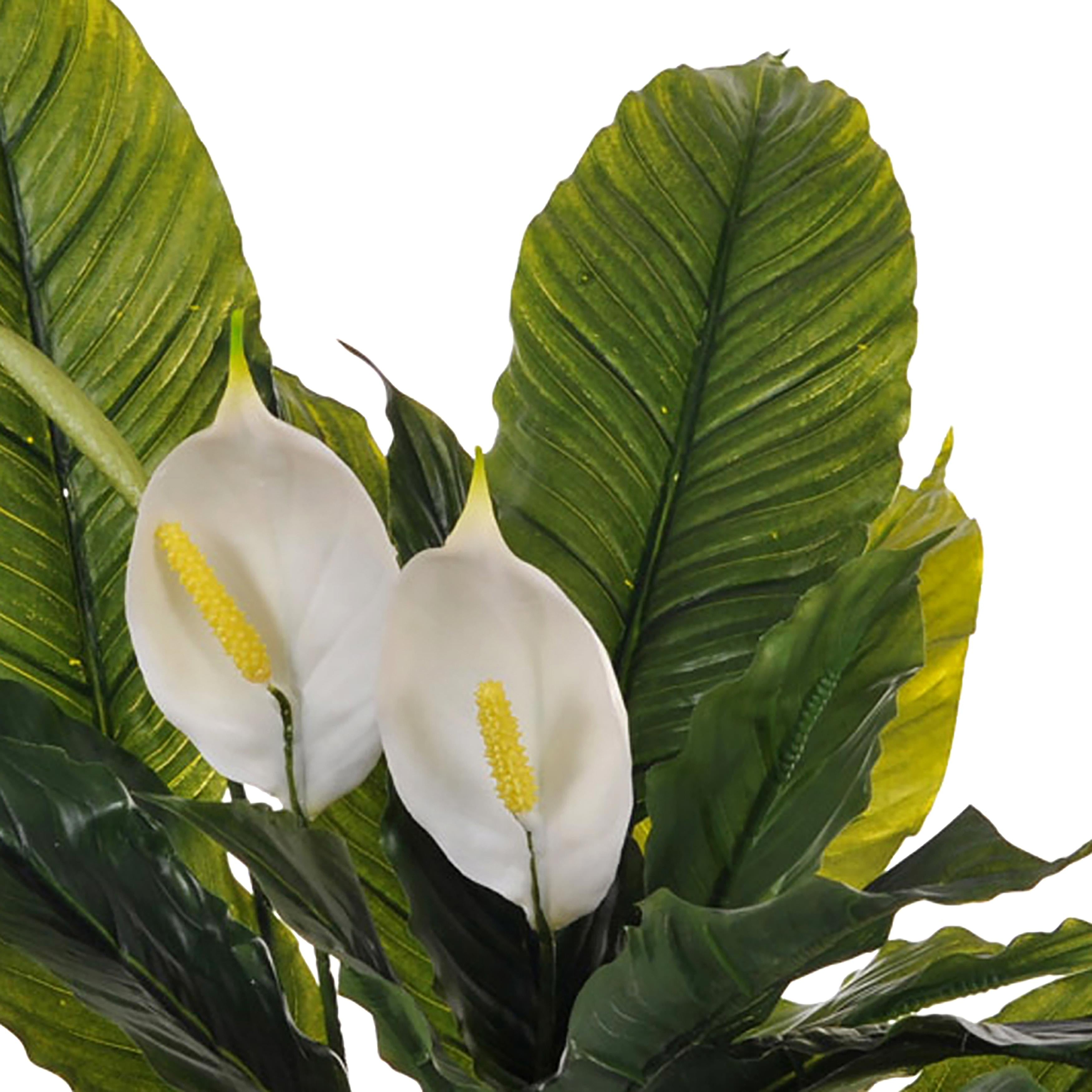 Pianta Artificiale Spathipilium con Vaso H 65 cm