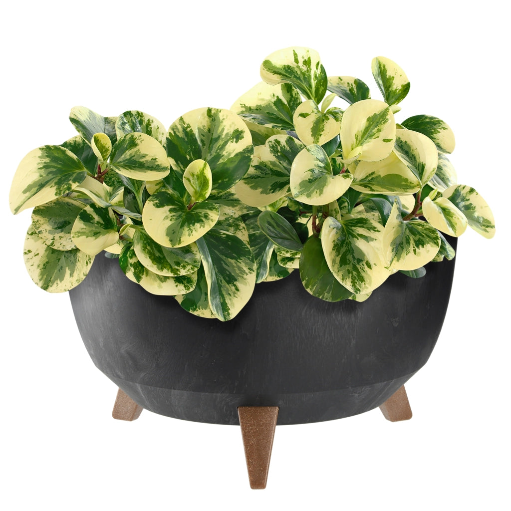 Vaso da fiori KADAX 40 cm con coperchio e piedini in sughero, colore nero.