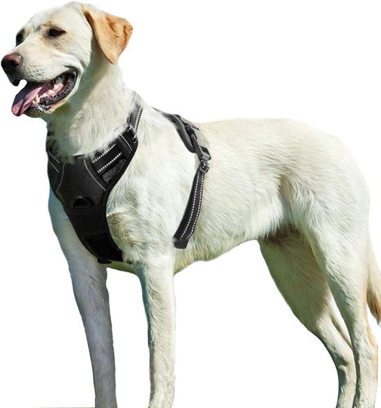 Cintura per cani – Cinturone per cani – Cinturino per cani – Harness per cani – Sostenibile