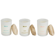 Set di 3 candele profumate multicolore 100% cera di soia stoppino di cotone vetro bianco fragranza Pelle/Vento di Mare/Ambra