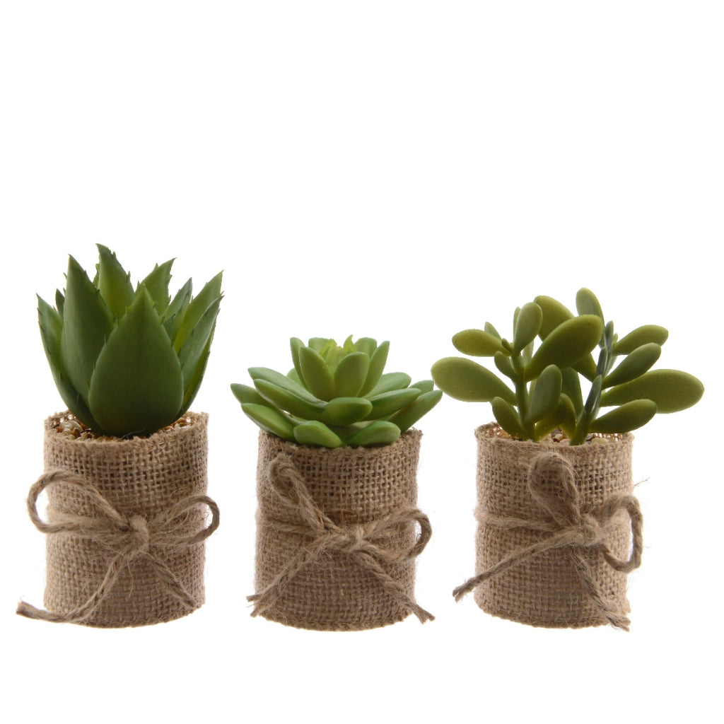 VASO DI JUTA CON PIANTA GRASSA H12CM DECORATIVA