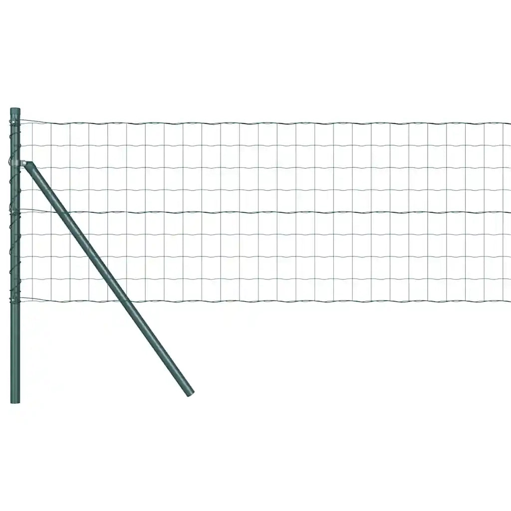 Recinzione con Posto Verde 0,8 x 25 m Acciaio
