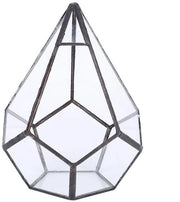 Terrario geometrico in vetro - contenitore per piante - vas da giardino per piante grasse - duraturo e affidabile - decorazione unica per la casa - resistente alla corrosione