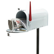 Cassetta postale americana design americano argento portaposta 16_0000330