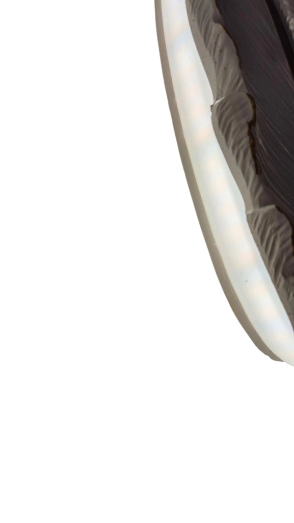 Applique LED da parete per interno 12W 960lm IP20 design piuma bianca e oro luce selezionabile Calda 3000K, Naturale 4000K, Fredda 6500K