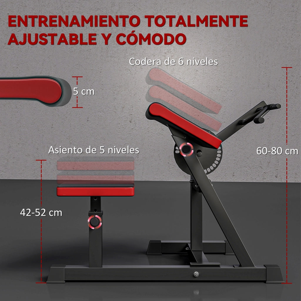 Panca Curl Predicatore Regolabile 2 in 1 ¨C Zephmum ¨C Con Sedile e Supporto Gomiti