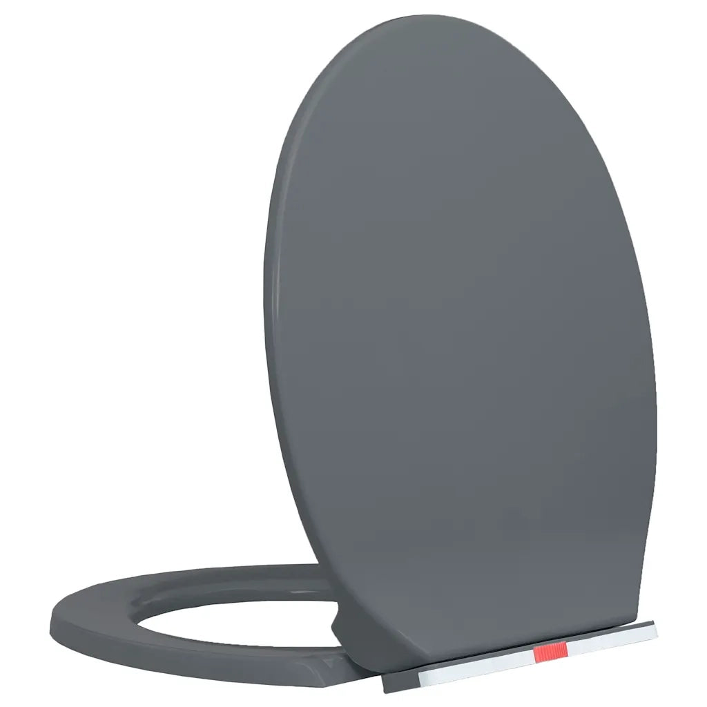 Copriwater Chiusura Ammortizzata e Sgancio Rapido Grigio Ovale CFW3311238