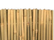 ARELLA MASTER BAMBOO CANNICCIO ARELLE CANNE RECINZIONE OMBRA BAMBU MISURE VARIE