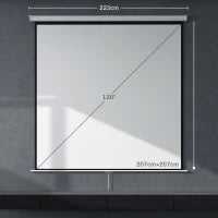 Schermo per Proiettore 120" Formato 1:1, Angolo di 160° e Montaggio a Soffitto o Parete
