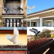 Spine perimetrali per balcone - Deterrenti per colombi - Recinzioni e tetto / Deterrenti per colombi - Anticat - Deterrenti per animali - Deterrenti per uccelli 5.1m
