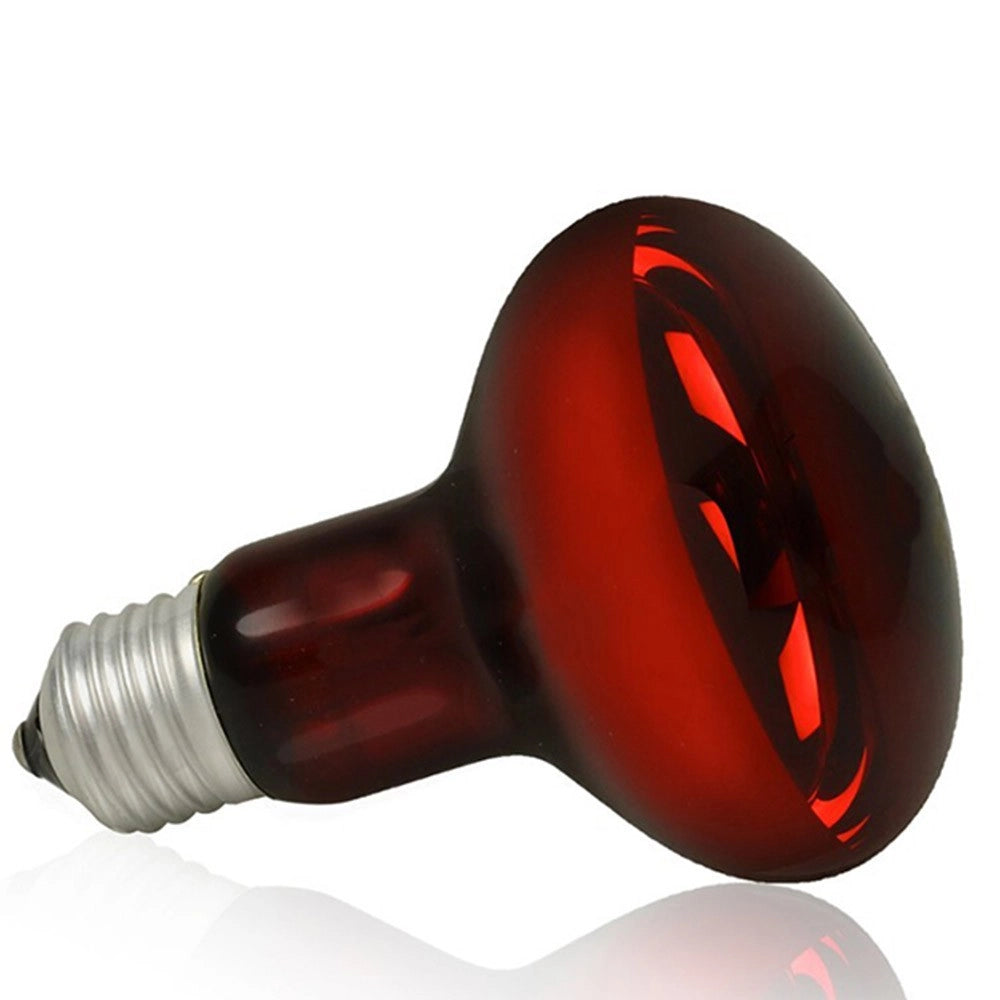 AQL Terra NightHeat Lamp Attacco E27 - Lampada riscaldante notturna per terrari Wattaggio Riscaldatori e lampade terrario: 100W