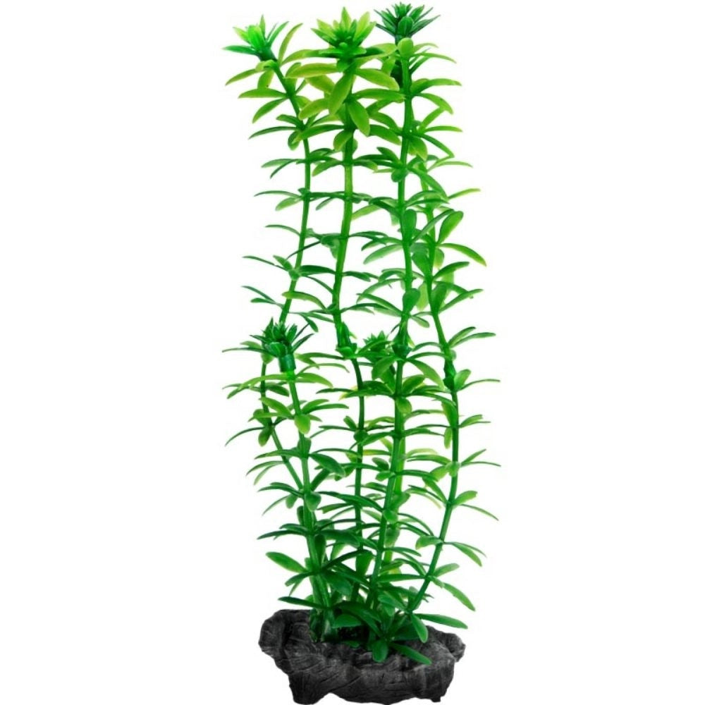 Tetra Pianta Decorativa in Plastica Modello Anacharis (Egeria Densa) Modello: M