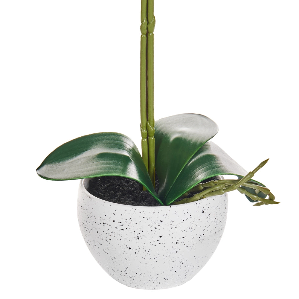 Pianta artificiale in vaso Materiale sintetico bianco e verde 42 cm Pianta orchidea Accessorio decorativo per interni
