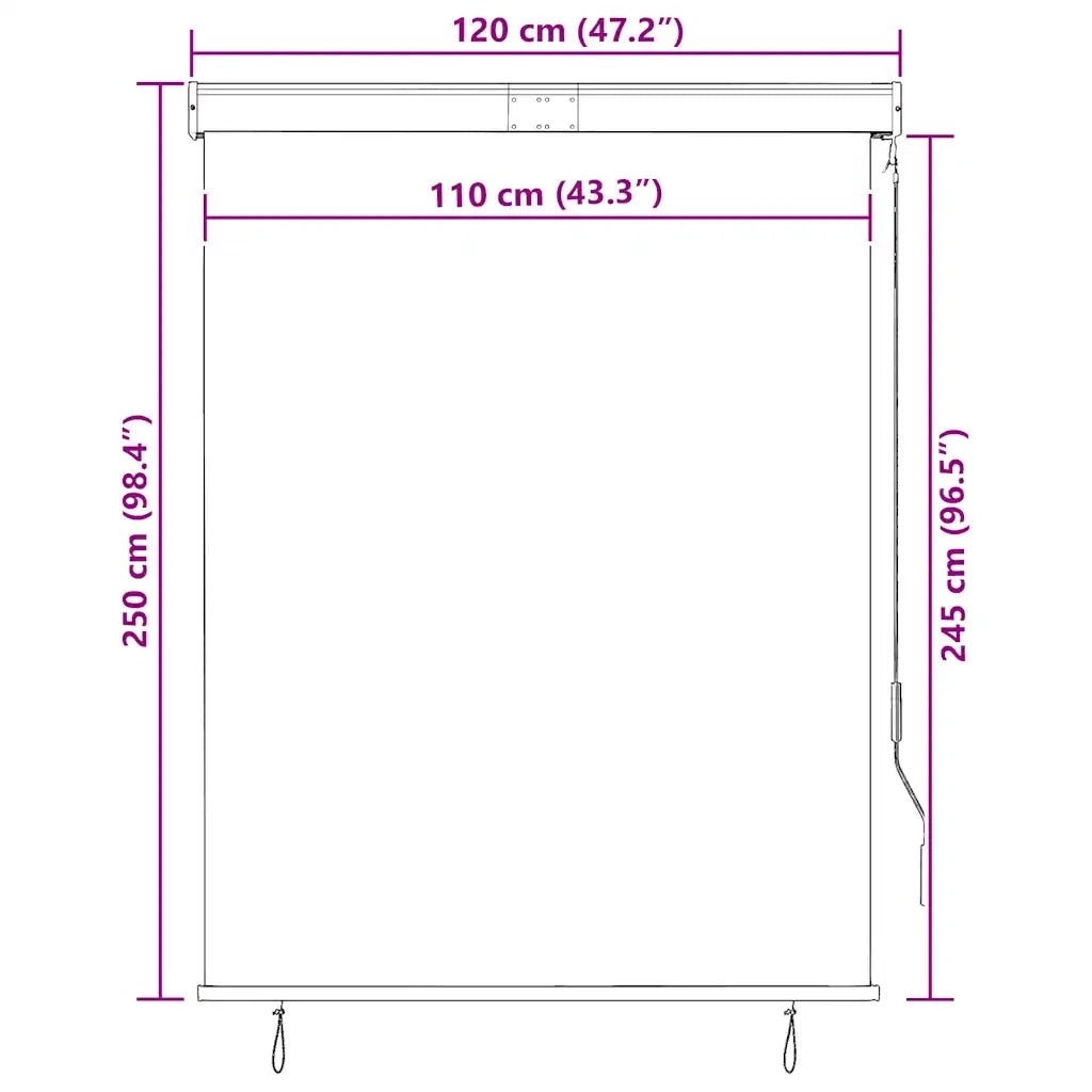 Tenda a rullo | Tenda avvolgibile per Esterni 120x250 cm Antracite