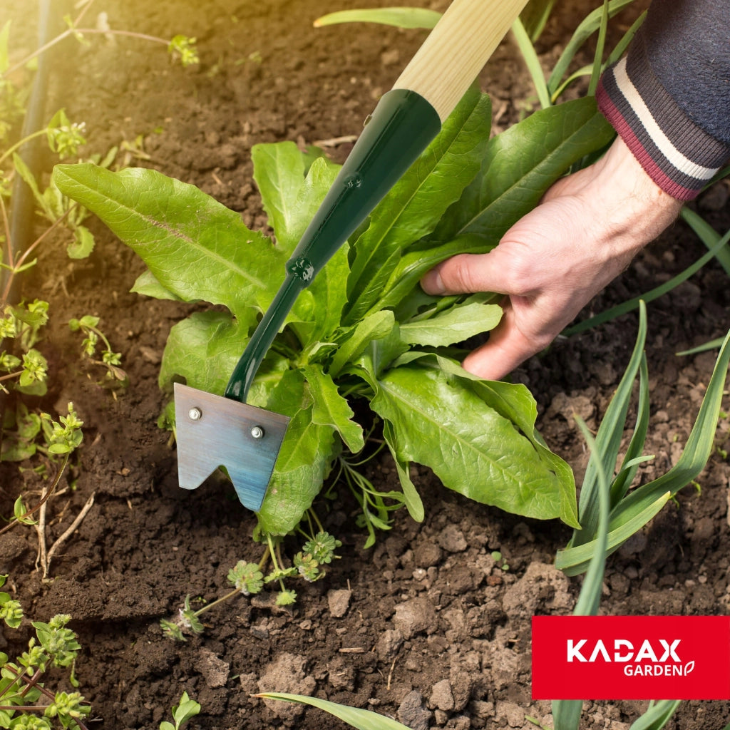 Diserbante KADAX per erbacce, lunghezza 69 cm
