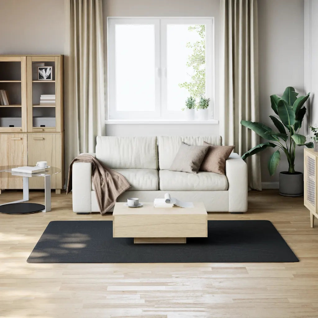 Tappeto del soggiorno | Tappeto Lavabile Soffice Pelo Corto 160x230 cm Antiscivolo Nero