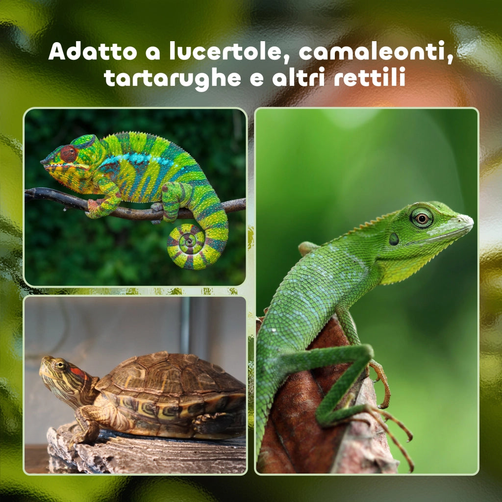 Terrario per Tartarughe di Terra e Rettili con Termometro 18-34¡æ, 60x40x40.5 cm, Nero
