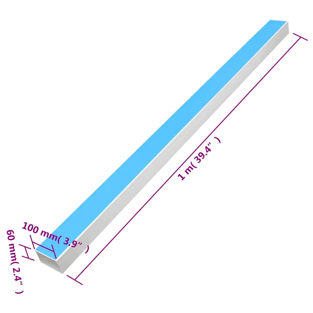 Canalina per Cavi Autoadesiva 100x60 mm 10 m in PVC 155954