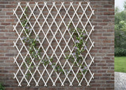 Traliccio Estensibile In PVC Per Piante Rampicanti Recinzione Giardino Balcone - 100x300 - Bianco