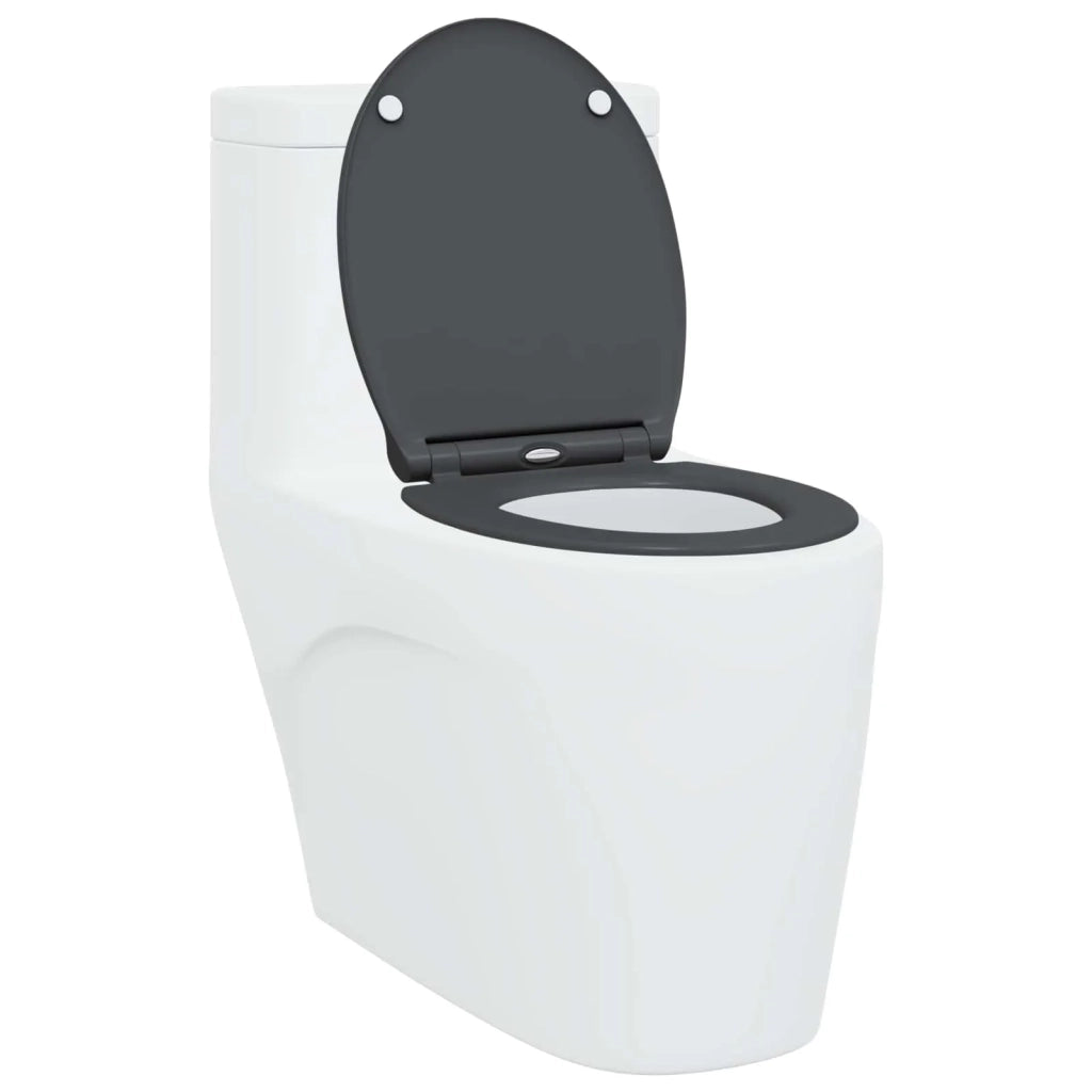 Sedile del WC Antracite 47 x 37,5 x 3,8 cm Duroplast 42002362