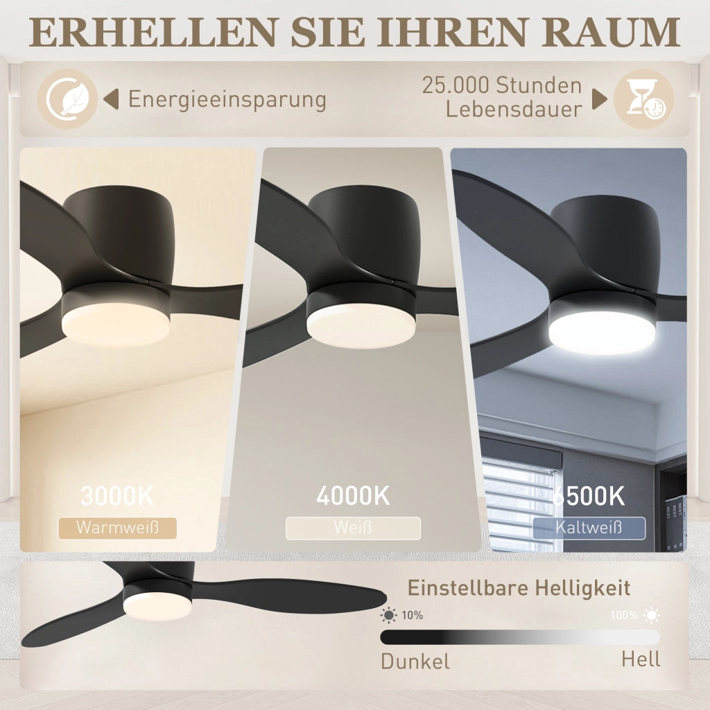 Ventilatore da Soffitto con Luce e Telecomando ¨C Zephmum ¨C Nero, 3 Colori Luce, 6 Velocit¨¤