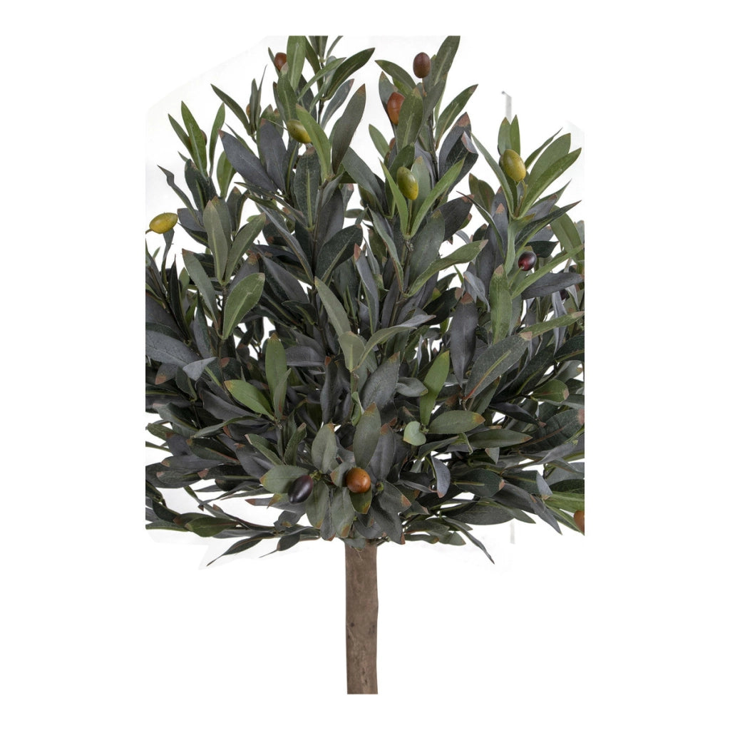 Pianta Artificiale Ulivo, Verde, Polietilene, 43x47x120 cm