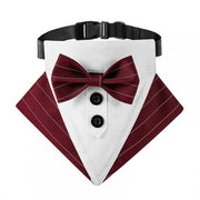 Cintura per cani adattabile - Collare per cani a bow tie - Polyester/Nylon - occasioni formali - forma comoda