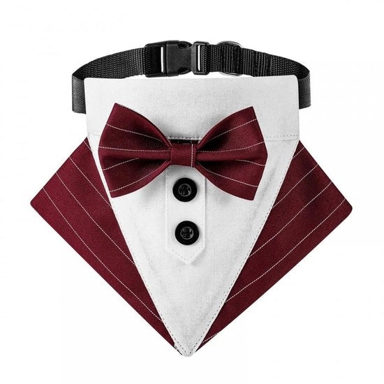 Cintura per cani adattabile - Collare per cani a bow tie - Polyester/Nylon - occasioni formali - forma comoda