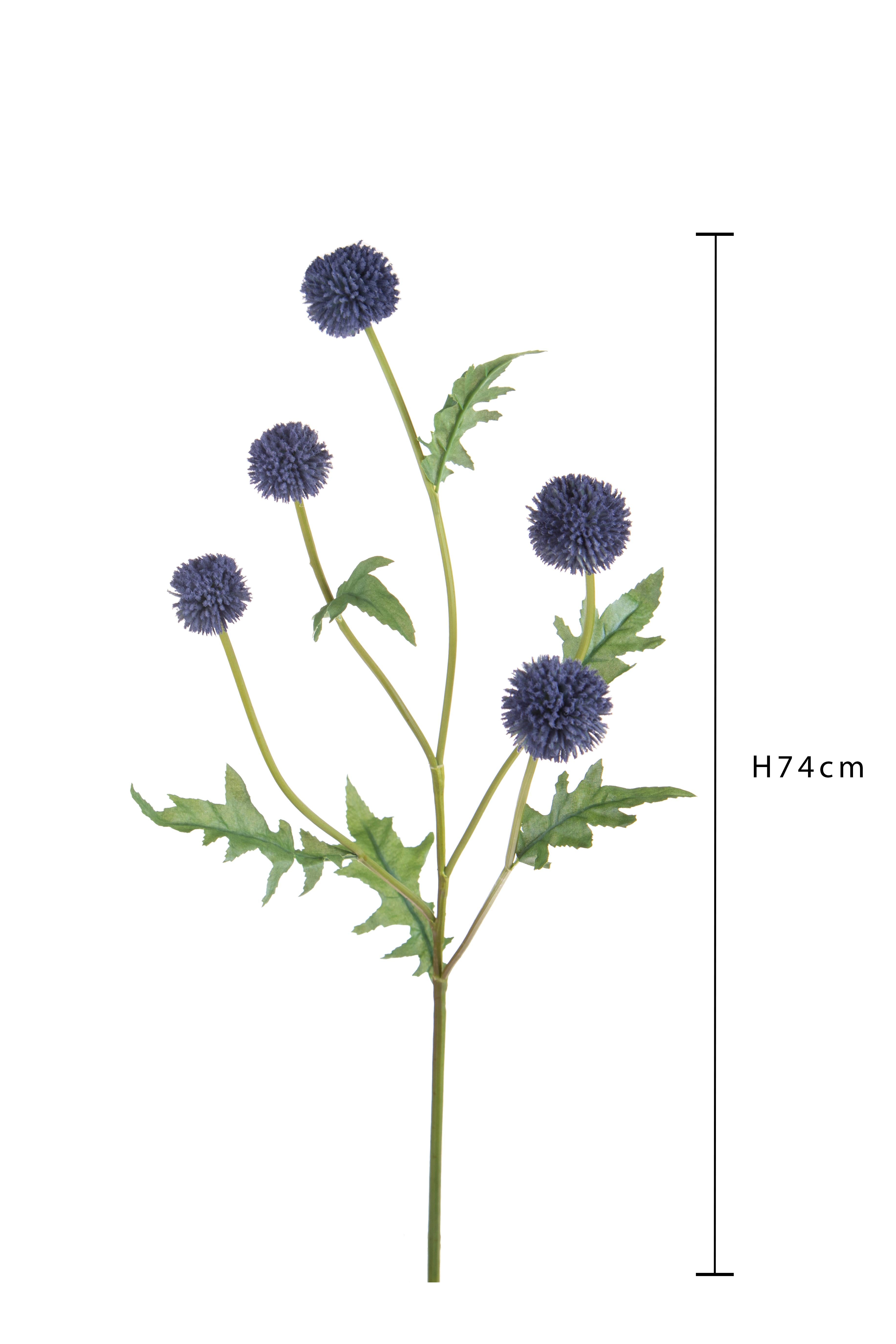 Set 4 Echinops per 5 74 cm