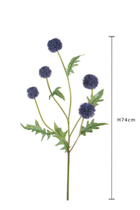 Set 4 Echinops per 5 74 cm