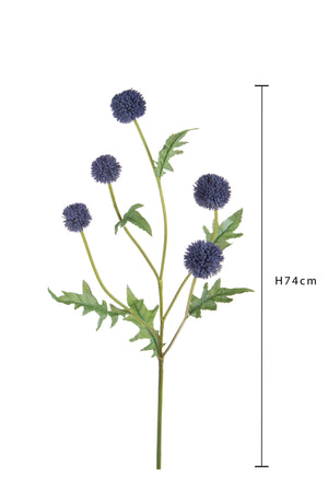 Set 4 Echinops per 5 74 cm