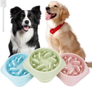 Ciotola alimentare lenta per cani - 3 pezzi, antiscivolo, interattiva, anti-schizzo, alimentazione sana per cani e gatti (blu, rosa, verde)