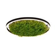 Plafoniera rotonda 58,5cm LED 28W muschio Ritus Leuchten