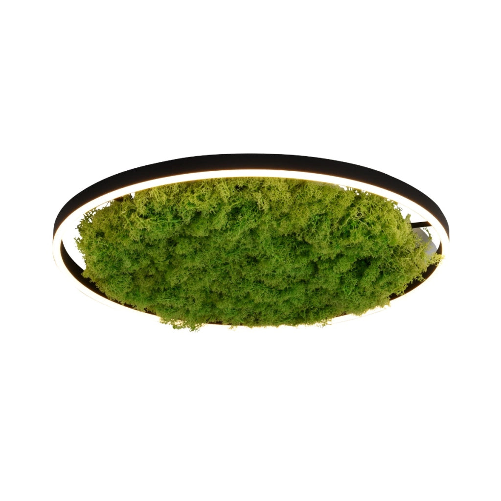 Plafoniera rotonda 58,5cm LED 28W muschio Ritus Leuchten