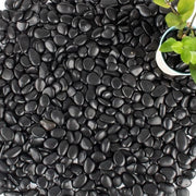 Pietre di calce nere lucidate per giardino roccioso, sentiero e decorazione - 1 kg