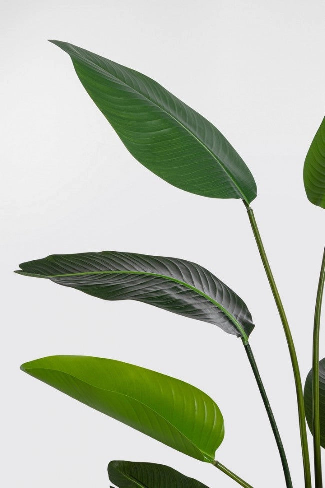Set 2 Piante Artificiali Strelitzia 90x80x150 cm in Plastica con Vasi Verde