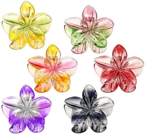 Accessori per capelli - Grande antiscivolo - 6 pezzi accessori per capelli - Accessori per capelli per donne/ragazze - Utilizzabile per diversi stili di capelli - Adatto per occasioni casual/formali