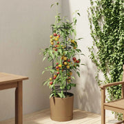 Coltivatore di pomodori Naturo ECO Ø 39 x 139 cm WPC 42033418