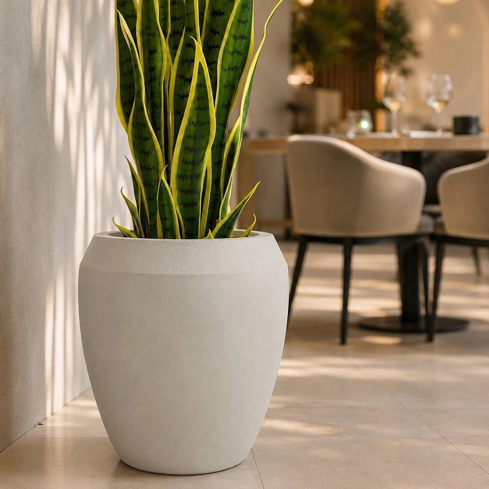 Vaso in plastica HDPE poliresina alta densità per piante Conchino Beige h 30,5