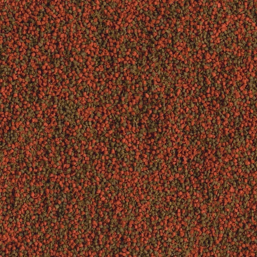 Tetra Cichlid Granules - 500ml per Ciclidi medi da 5 a 10cm