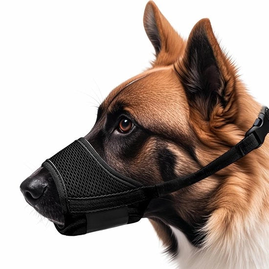 Muilkorf Versatile - Nylon/Breathable - Spine con Gesp - Antibijt/Antiblaf - Muilkorf per Piccoli Cani - Facile da Pulire - Muilkorf per Cani