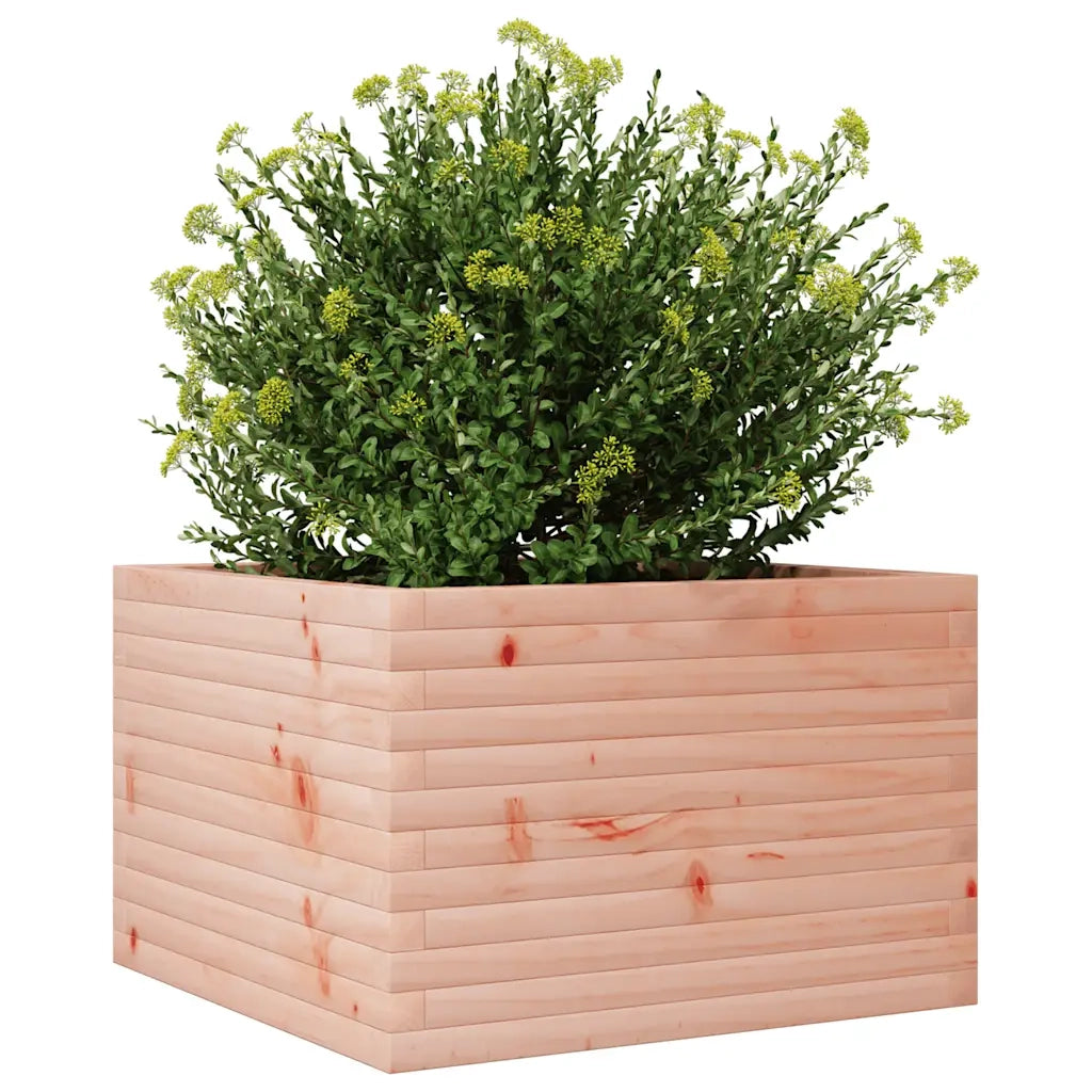 Fioriera da Giardino 70x70x45,5 cm in Legno Massello di Douglas